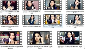 [直播]韩国小姐姐ppuppuASMR视频13部【13V/1.65G】【百度网盘下载】-ASMR主播助眠网站